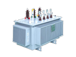 Amorphous alloy core oil-immersed transformer